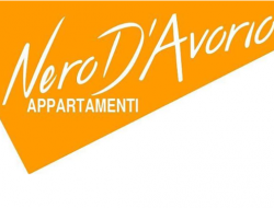 Nero d'avorio appartamenti - Hotel - Rimini (Rimini)