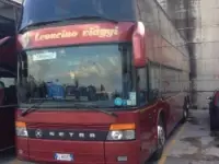I viaggi del leoncino autobus filibus e minibus