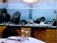 Ristorante lo scoglio ristoranti specializzati pesce