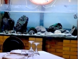 Ristorante lo scoglio - Ristoranti specializzati - pesce - Grottammare (Ascoli Piceno)