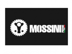 Mossini presse - Presse eccentriche,Presse oleodinamiche,Stampaggio metalli a caldo,Presse - Pescate (Lecco)