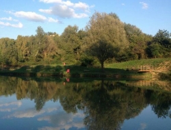 Lago ponte rotto - Bar e caffè,Pesca sportiva ed allevamento pesci,Ristoranti - San Casciano in Val di Pesa (Firenze)