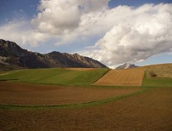 Canetto patrizia - Consulenza agricola e forestale - Codigoro (Ferrara)