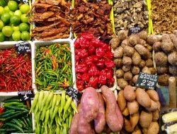 Cooperativa m.o.l. mercato ortofrutticolo latina arl - Frutta e verdura - ingrosso - Latina (Latina)