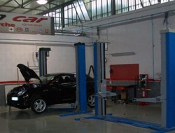 Profession car srl - Automobili - Albano Laziale (Roma)