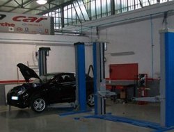 Profession car srl - Automobili - Albano Laziale (Roma)