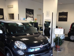 Profession car srl - Automobili - Albano Laziale (Roma)