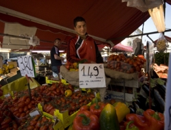 F.lli gulino s.r.l. - Mercati generali e concessionarie di mercato - Santa Croce Camerina (Ragusa)