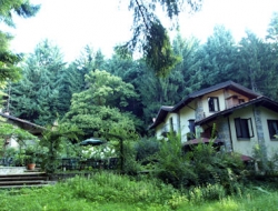 Le resinose - Agriturismo - Barasso (Varese)