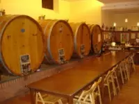 Aurelio settimo azienda vinicola vini e spumanti produzione e ingrosso