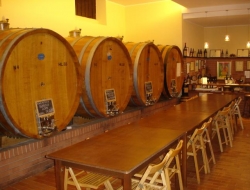 Aurelio settimo azienda vinicola - Vini e spumanti - produzione e ingrosso - La Morra (Cuneo)