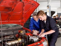 Alioth servizi cooperativi - Autofficine e centri assistenza,Carrozzerie automobili - Porto Torres (Sassari)