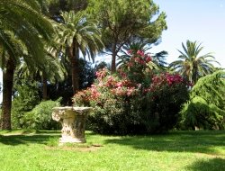 Marasciulo leonardo - Fiorai,Fiorai e piante - ingrosso,Giardini e parchi realizzazione e manutenzione - Fasano (Brindisi)