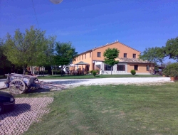 Agriturismo la maddalena - Agriturismo - Filottrano (Ancona)