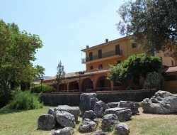 Ristorante muraccio - Ristoranti - Colleferro (Roma)