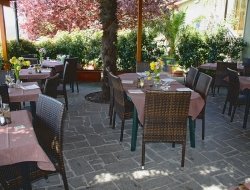 Ristorante felicetta - Bar e caffè,Ristoranti - Viterbo (Viterbo)