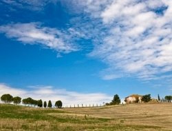 Agriturismo framagi - Agriturismo - Castelnuovo Magra (La Spezia)