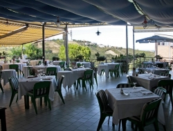 Ristorante bazzini - Bar e caffè,Ristoranti - Canneto Pavese (Pavia)