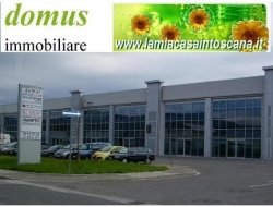 Domus immobiliare - Agenzie immobiliari - Pontedera (Pisa)