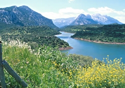 Hotel ristorante sant'elene - Alberghi,Ristoranti - Dorgali (Nuoro)