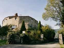 Ristorante il feriolo - Ristoranti - Borgo San Lorenzo (Firenze)