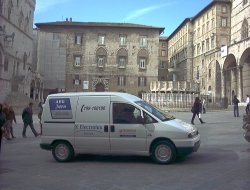 Grifo service - Elettrodomestici - riparazione - Perugia (Perugia)