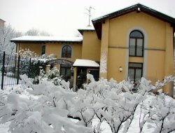 Osteria barbagianni - Ristoranti - trattorie ed osterie - Cinisello Balsamo (Milano)