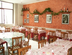 Ristorante pizzeria calabrone 2 - Pizzerie,Ristoranti - Milano (Milano)