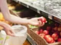 Opinioni degli utenti su Supermercato Conad Margherita Follonica
