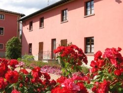 Agriturismo antico borgo de' romolini - Bed & breakfast,Residences ed appartamenti ammobiliati - Sansepolcro (Arezzo)