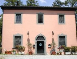 Osteria del vecchio pazzo - Ristoranti - Lucca (Lucca)