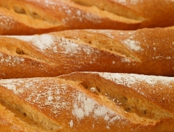 La voglia di pane - Panetterie,Pizzerie - Sassari (Sassari)