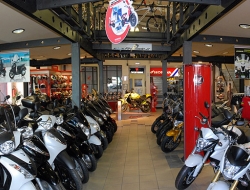 Duranti cicli e moto - Biciclette - accessori e parti,Biciclette - vendita e riparazione,Motocicli e motocarri - vendita e riparazione - Spoleto (Perugia)
