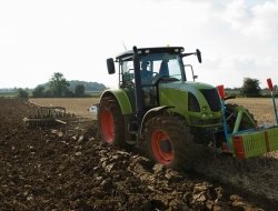 Picciau stefano - Agricoltura - attrezzi, prodotti e forniture - Cagliari (Cagliari)