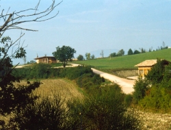 Azienda agricola ca' maddalena - Agriturismo - Fermignano (Pesaro-Urbino)