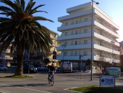 Hotel holiday - Alberghi,Bar e caffè,Ristoranti - Pescara (Pescara)