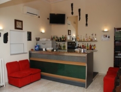 Caribe hotel - Alberghi - Viareggio (Lucca)