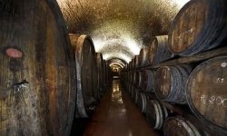 Fattorie il gardingo - Agricoltura - attrezzi, prodotti e forniture ,Enoteche e vendita vini,Oli alimentari e frantoi oleari - Firenze (Firenze)