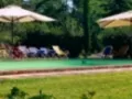 Opinioni degli utenti su Tenuta San Rocco
