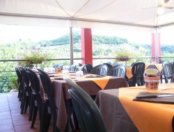 Ristorante i' prugnolo - Ristoranti - Carmignano (Prato)