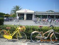 Coppa bike - Biciclette - vendita e riparazione - Forte dei Marmi (Lucca)