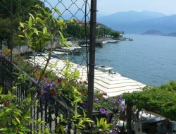 Albergo ristorante plinio - Alberghi,Ristoranti - Lenno (Como)