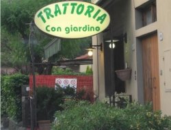 Trattoria di fontebuona - Ristoranti - trattorie ed osterie - Vaglia (Firenze)