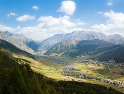 Hotel camino - Alberghi,Bar e caffè,Ristoranti - Livigno (Sondrio)