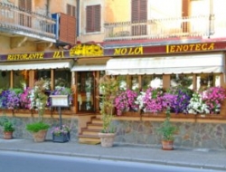 Ristorante il molo - Alimenti regionali e tipici - Passignano sul Trasimeno (Perugia)