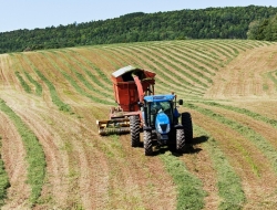 Bonizzoni dante & c. - Macchine agricole - accessori e parti,Macchine agricole - commercio e riparazione,Macchine agricole - riparazione e vendita - Pieve del Cairo (Pavia)