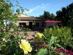 Ristorante l' agrifoglio - Pizzerie,Enoteche e vendita vini,Ristoranti - Castellina Marittima (Pisa)