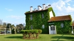 Locanda verde - Ristoranti,Ristoranti specializzati - pesce,Alimenti regionali e tipici - Bolsena (Viterbo)