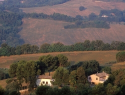 Hotel panorama - Alberghi,Ristoranti - Castelraimondo (Macerata)