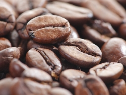 Caffè ichnusa - Caffè crudo e torrefatto,Macchine caffè espresso - commercio e riparazione - Sassari (Sassari)